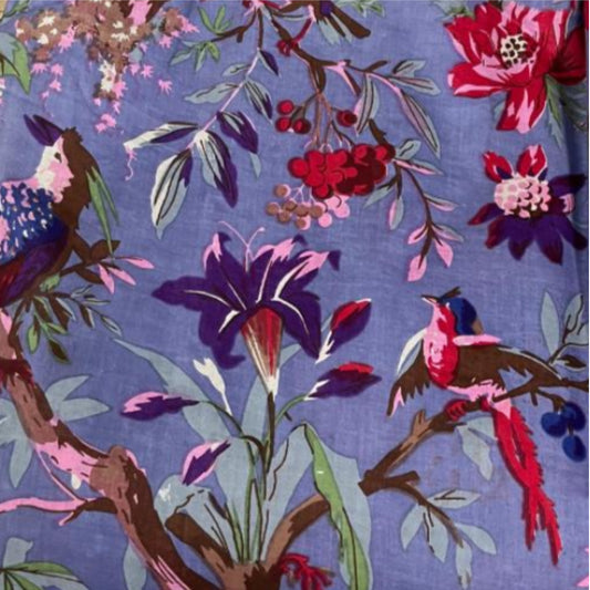 Viola Bird