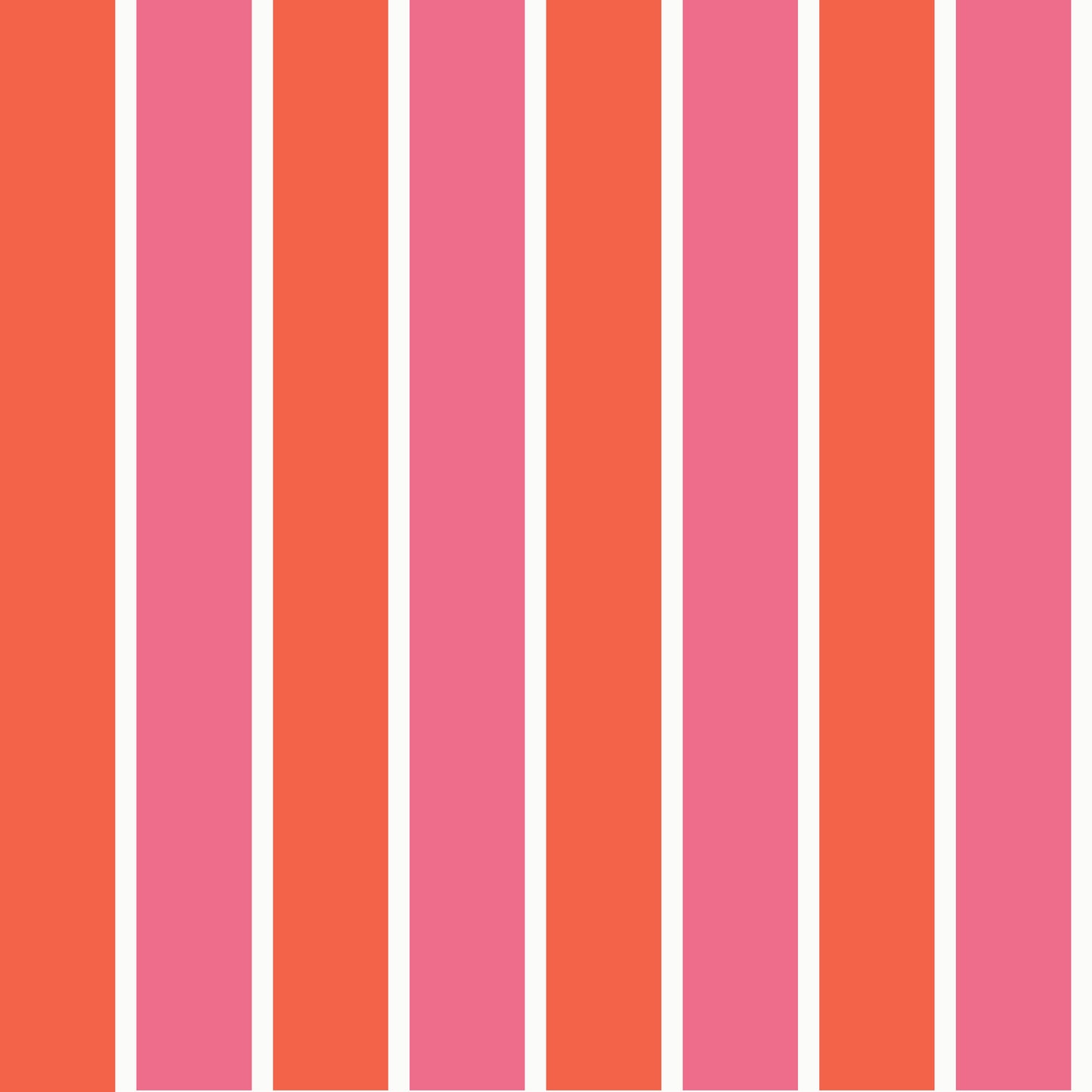The Bold One Stripe Nasturtium & Rose