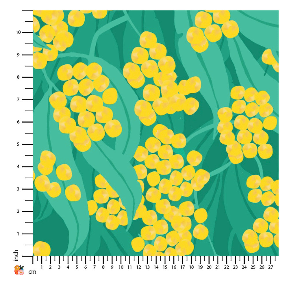 Wattle Gum Vivid Green