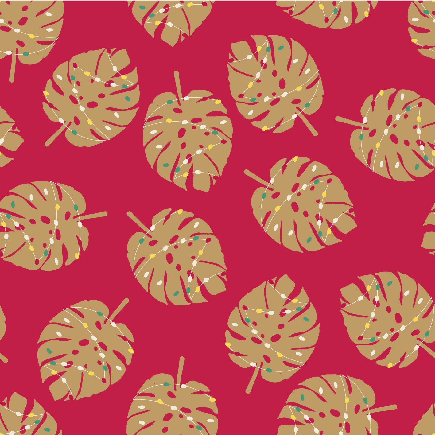 Monstera Christmas Cherry